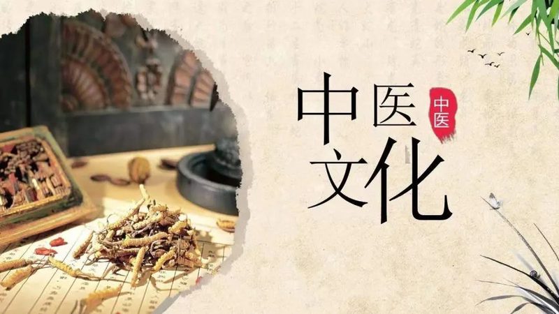 中医诊所医生资质查询：揭秘流程与注意事项